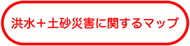 洪水+土砂災害