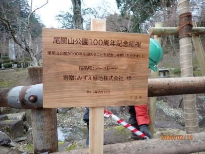 植樹式