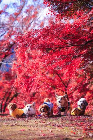 優秀賞②