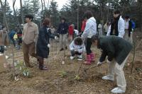 どんぐり苗の植樹（探検と憩いの森にて）